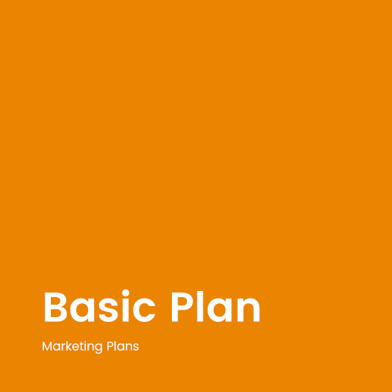 Basic Plan